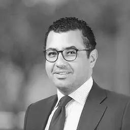 سعيد حنفي